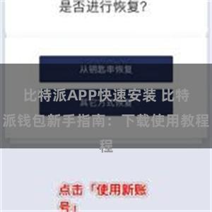 比特派APP快速安装 比特派钱包新手指南：下载使用教程