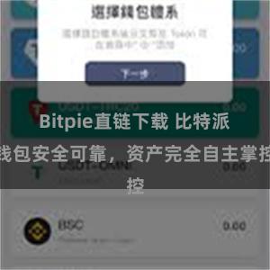 Bitpie直链下载 比特派钱包安全可靠，资产完全自主掌控