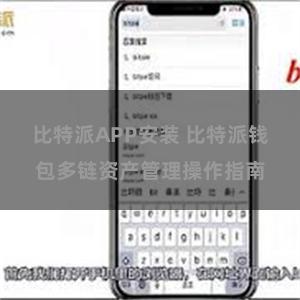 比特派APP安装 比特派钱包多链资产管理操作指南