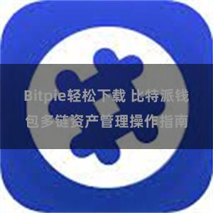 Bitpie轻松下载 比特派钱包多链资产管理操作指南