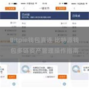 Bitpie钱包直连 比特派钱包多链资产管理操作指南