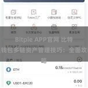 Bitpie APP官网 比特派钱包多链资产管理技巧：全面攻略