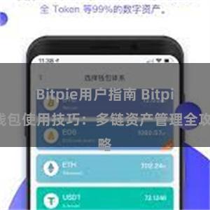 Bitpie用户指南 Bitpie钱包使用技巧：多链资产管理全攻略