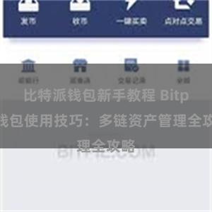 比特派钱包新手教程 Bitpie钱包使用技巧：多链资产管理全攻略