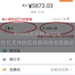 Bitpie多币种 Bitpie钱包支持的区块链网络全面解析