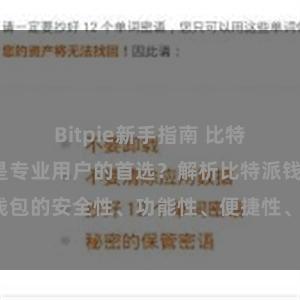 Bitpie新手指南 比特派钱包为何是专业用户的首选？解析比特派钱包的安全性、功能性、便捷性、支持性等优势。