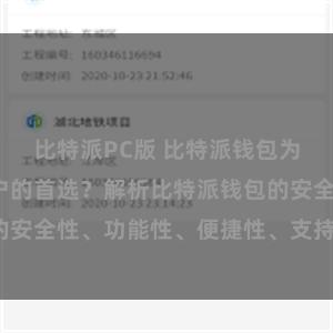 比特派PC版 比特派钱包为何是专业用户的首选？解析比特派钱包的安全性、功能性、便捷性、支持性等优势。