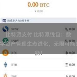比特派支付 比特派钱包：数字资产管理生态进化，无限可能！