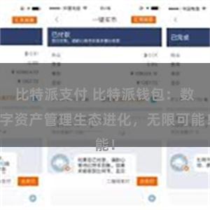 比特派支付 比特派钱包：数字资产管理生态进化，无限可能！