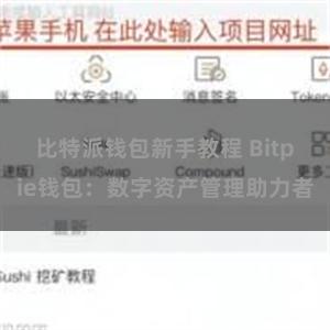 比特派钱包新手教程 Bitpie钱包：数字资产管理助力者