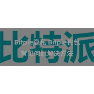 Bitpie隐私 Bitpie钱包常见问题解决方法