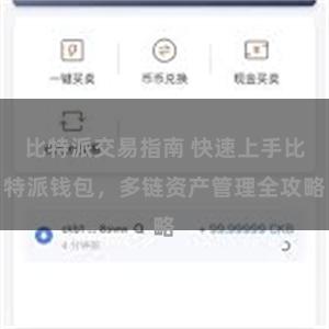 比特派交易指南 快速上手比特派钱包，多链资产管理全攻略