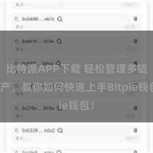 比特派APP下载 轻松管理多链资产，教你如何快速上手Bitpie钱包！