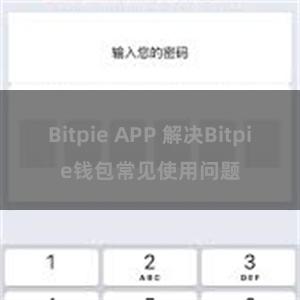 Bitpie APP 解决Bitpie钱包常见使用问题