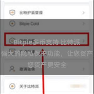 Bitpie多币支持 比特派钱包：强大的隐私保护功能，让您资产更安全