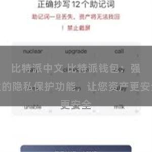 比特派中文 比特派钱包：强大的隐私保护功能，让您资产更安全