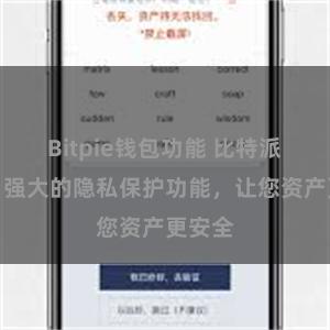 Bitpie钱包功能 比特派钱包：强大的隐私保护功能，让您资产更安全