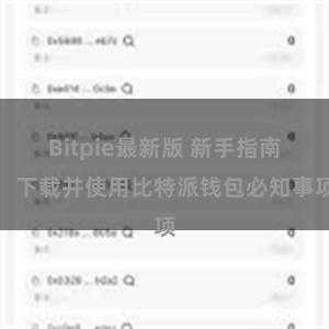 Bitpie最新版 新手指南：下载并使用比特派钱包必知事项