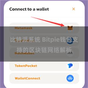 比特派系统 Bitpie钱包支持的区块链网络解析