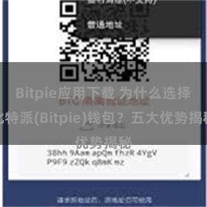 Bitpie应用下载 为什么选择比特派(Bitpie)钱包？五大优势揭秘