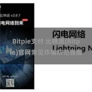 Bitpie支付 比特派(Bitpie)官网常见诈骗防范提醒