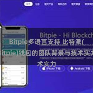 Bitpie多语言支持 比特派(Bitpie)钱包的团队背景与技术实力