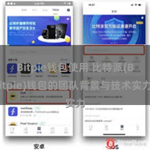 Bitpie钱包使用 比特派(Bitpie)钱包的团队背景与技术实力