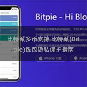 比特派多币支持 比特派(Bitpie)钱包隐私保护指南