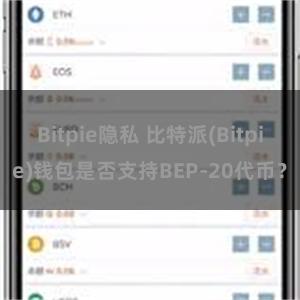 Bitpie隐私 比特派(Bitpie)钱包是否支持BEP-20代币？