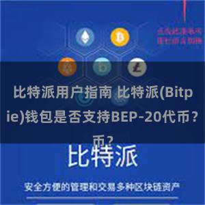 比特派用户指南 比特派(Bitpie)钱包是否支持BEP-20代币？