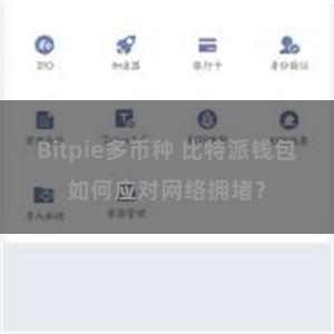 Bitpie多币种 比特派钱包如何应对网络拥堵？