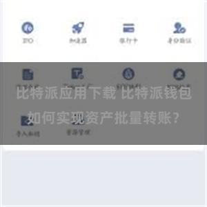 比特派应用下载 比特派钱包如何实现资产批量转账？