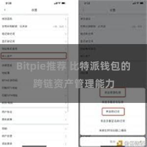 Bitpie推荐 比特派钱包的跨链资产管理能力