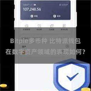 Bitpie多币种 比特派钱包在数字资产领域的表现如何？