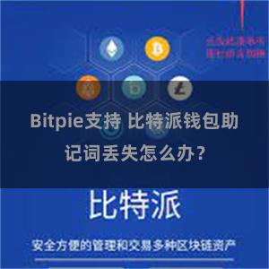 Bitpie支持 比特派钱包助记词丢失怎么办？