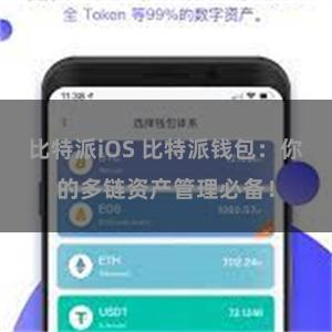 比特派iOS 比特派钱包：你的多链资产管理必备！