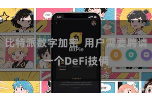 比特派数字加密  用户需要聘请一个DeFi技俩