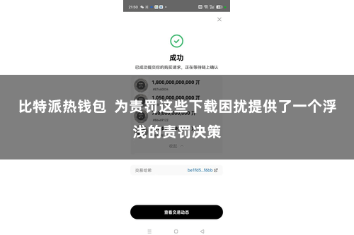 比特派热钱包  为责罚这些下载困扰提供了一个浮浅的责罚决策