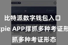 比特派数字钱包入口  Bitpie APP撑抓多种考证形态