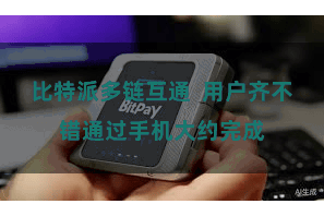 比特派多链互通  用户齐不错通过手机大约完成