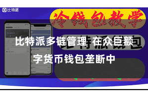 比特派多链管理  在众巨额字货币钱包垄断中