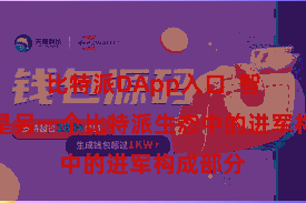 比特派DApp入口  智能合约是另一个比特派生态中的进军构成部分