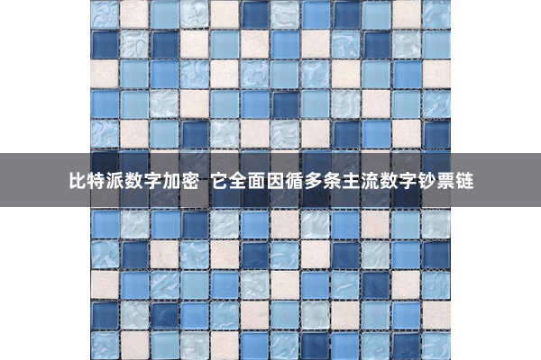 比特派数字加密  它全面因循多条主流数字钞票链