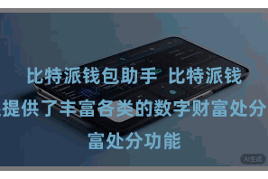 比特派钱包助手  比特派钱包还提供了丰富各类的数字财富处分功能