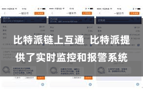 比特派链上互通  比特派提供了实时监控和报警系统