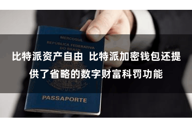 比特派资产自由  比特派加密钱包还提供了省略的数字财富科罚功能